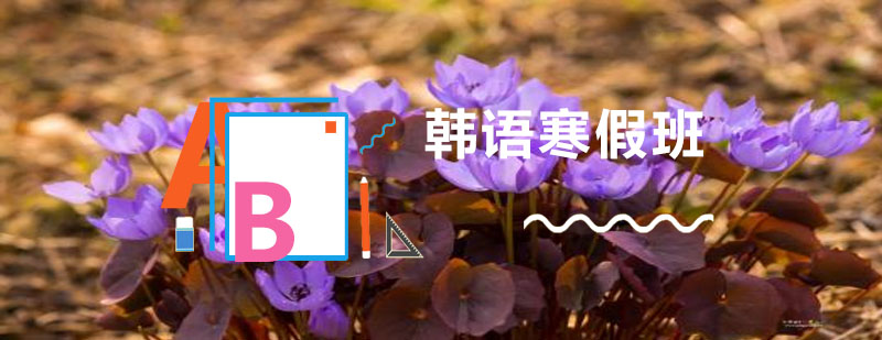 韩语教学场景