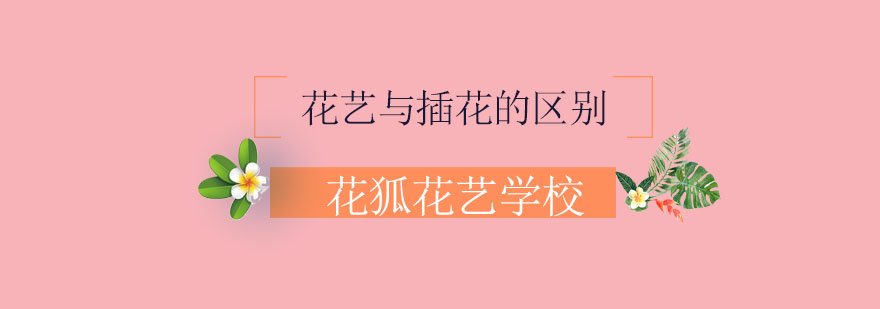 花卉艺术对比展示