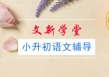 小升初语文辅导