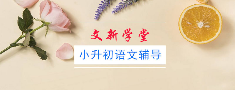 语文辅导课堂实景