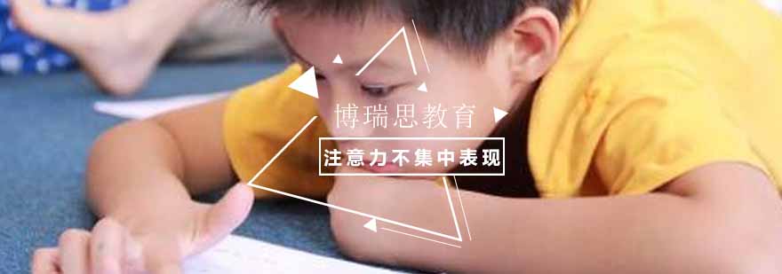 专业教育机构环境