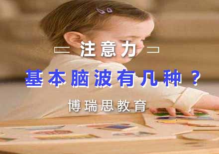 四大脑波类型深度解析