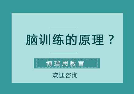 脑波调控科学解析与注意力提升训练