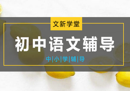 初中语文辅导
