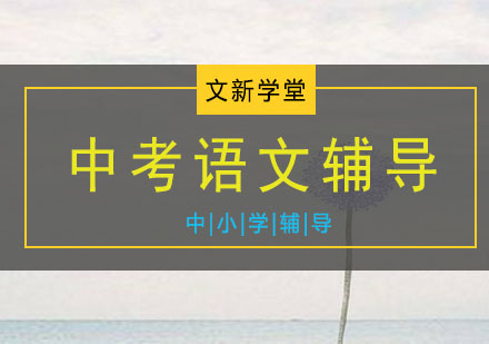 中考语文辅导