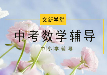中考数学辅导