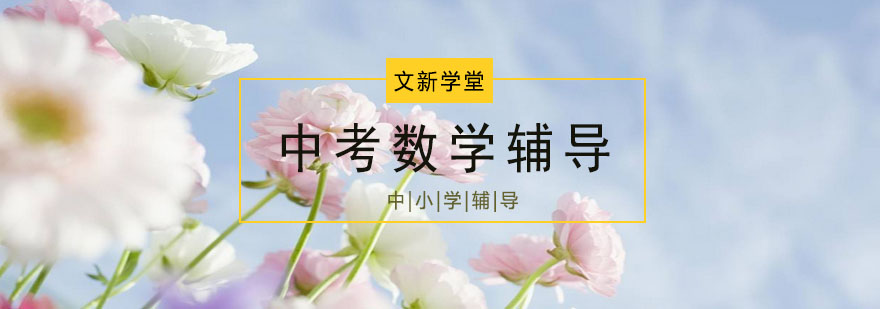 中考数学分层教学