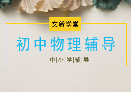 初中物理辅导