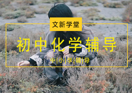 初中化学辅导