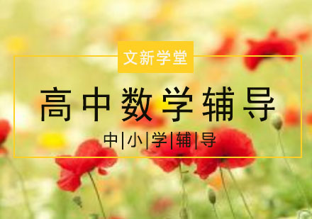高中数学辅导