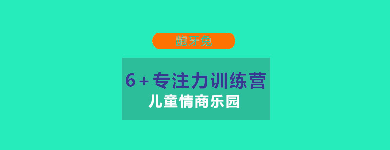 南京6专注力训练营