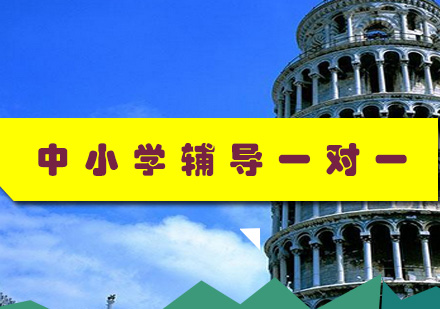 文新学堂个性化辅导课程深度解析