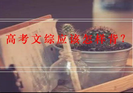 高考文综应该怎样背？