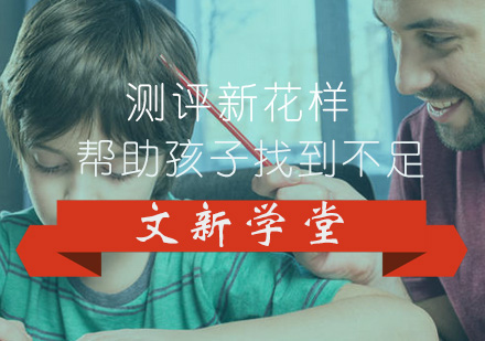 文新学堂智能学习诊断系统深度解析