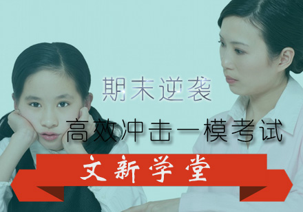 文新学堂期末特训计划：科学备考冲刺一模全解析