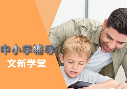 寒假充电指南：文新学堂特色课程深度解析