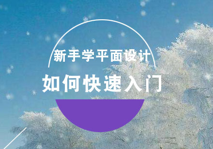 平面设计入门指南：从零基础到独立创作的进阶之路