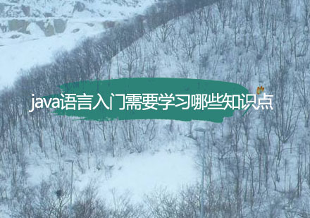 Java编程语言入门学习路径深度解析