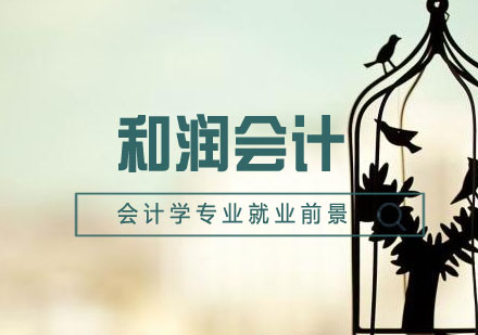 会计职业发展路径深度解析