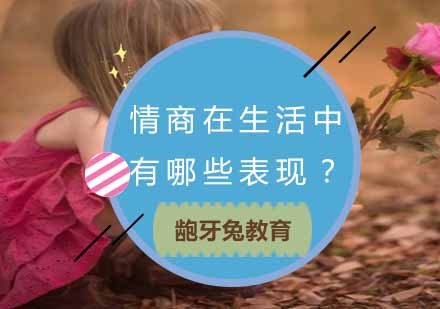 杭州龅牙兔情商教育特色解析