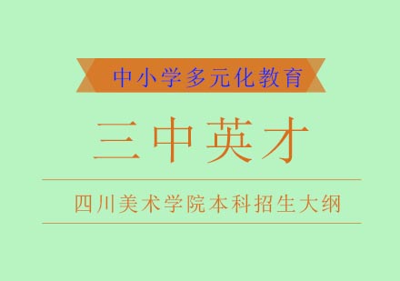 四川美院本科招考深度解析
