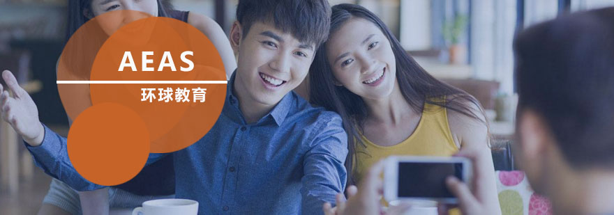 AEAS阅读策略示意图