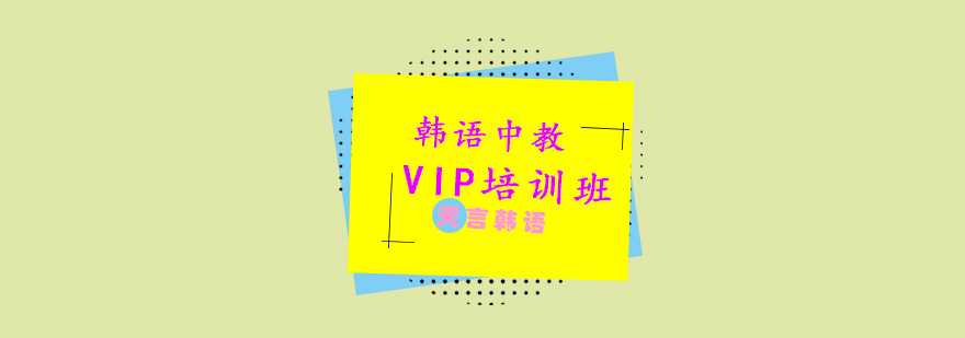 韩语中教VIP培训班