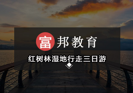 【深圳】红树林湿地行走三日游
