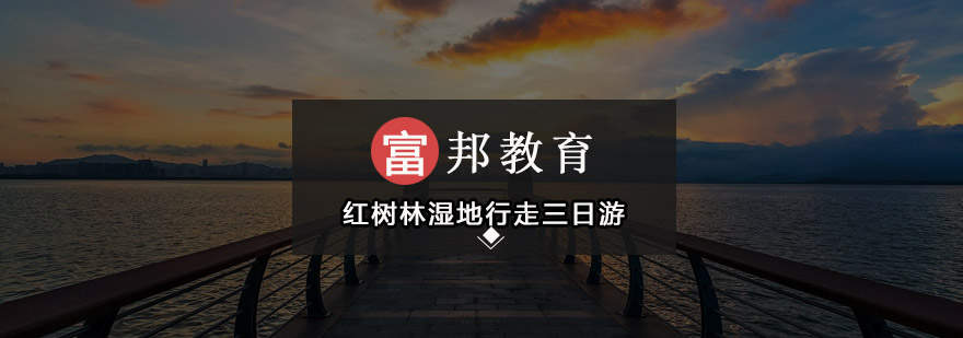 红树林生态观察实践