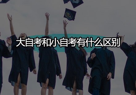 自考教育模式深度解析：社会助学与个人自学的核心差异