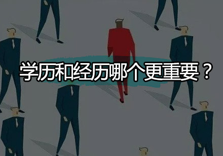 职场竞争力解码：学历价值与经验积累的深层剖析