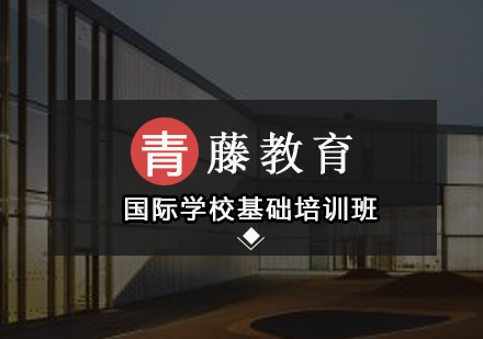 国际学校基础培训班