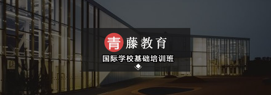 国际学校基础培训班