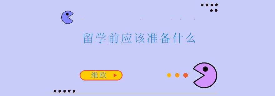 维欧艺术留学指南