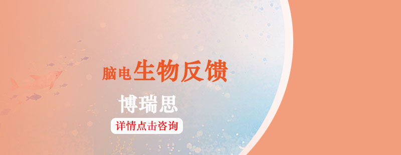 脑电生物反馈课程