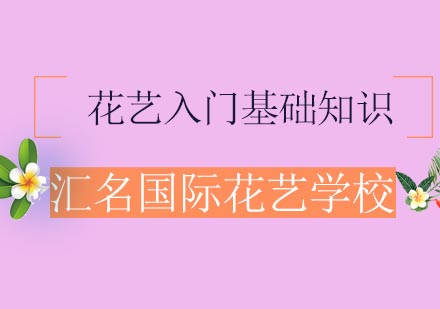 花艺基础入门全攻略