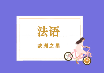 法语高效学习路径深度解析