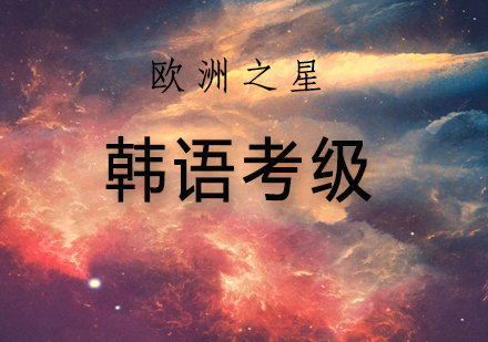 韩语TOPIK考级高效备考策略解析