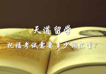 托福考试词汇深度解析与备考策略