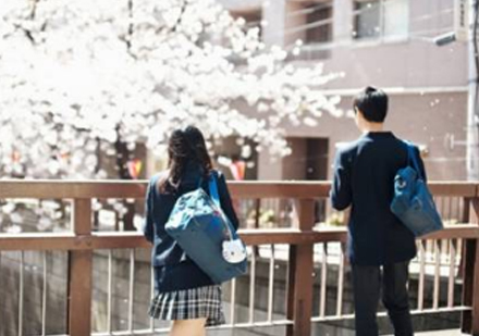 日本留学全攻略：申请要点与实战经验解析