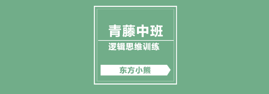 青藤中班教具展示