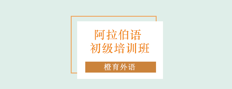 阿拉伯语课堂实景
