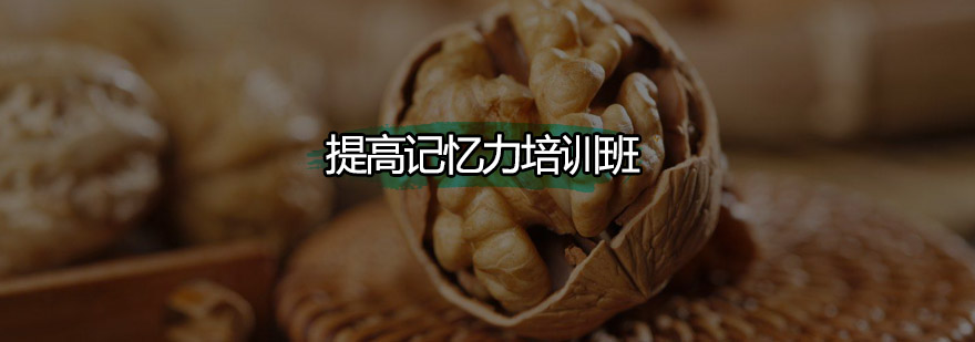 记忆训练课堂实景