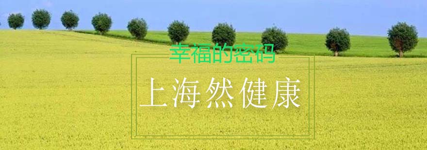 身心全息技法教学场景