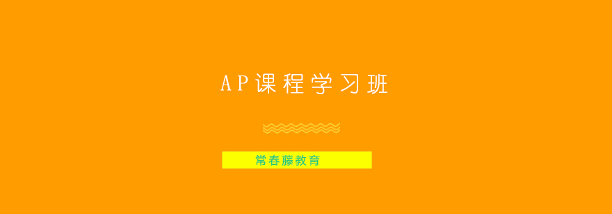 AP课程学习班