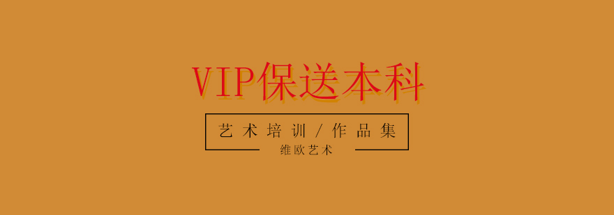 VIP保送协议本科