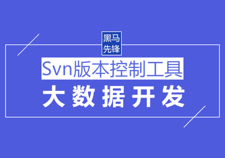 上海Svn课程