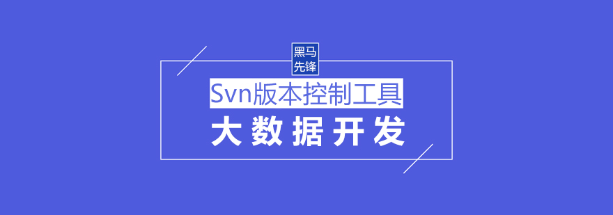 上海Svn课程