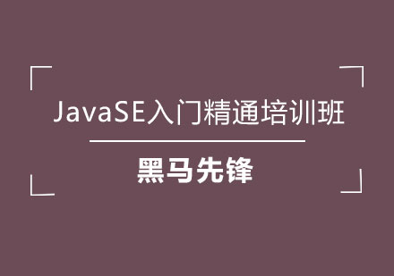 JavaSE入门精通培训班