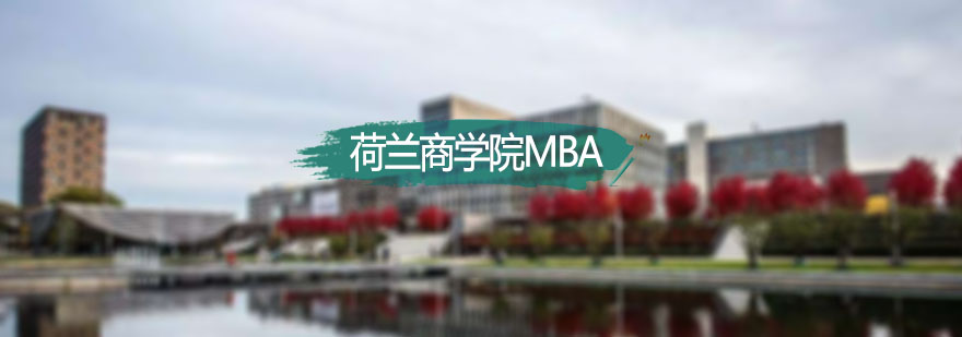 荷兰商学院MBA